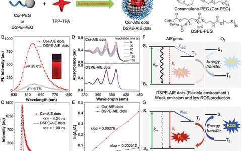 Adv. Mater.:碗烯掺杂的AIE纳米点可高度抑制非辐射衰减促进体内癌症光治疗