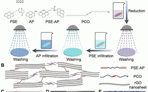 北航-程群峰PNAS：开发低温制成的高强度、超韧和高导电性的石墨烯片新型碳材料