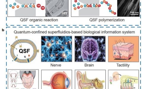 Sci. China Mater.: 江雷院士首次提出“量子限域超流体”概念