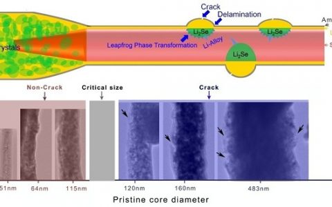 北工大张跃飞Nano Energy: Se@Carbon正极界面锂化诱发“跳跃相转变”的原位TEM观察