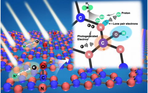 中国地大张以河&黄洪伟Nano Energy:表面羟基极化促进氮化碳局域电荷分离与质子活化