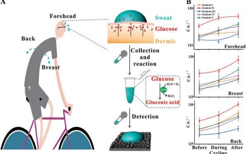华科大NPG Asia Materials：基于ph响应的超润湿表面的裸眼点护理测试平台——对葡萄糖的无创检测