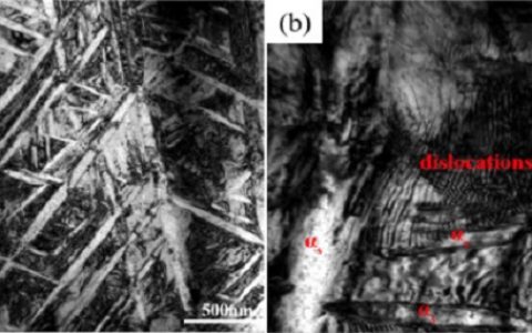 哈尔滨工业大学Mater. Sci. Eng. A：新型钛基复合材料，热处理后的拉伸与断裂韧性性能