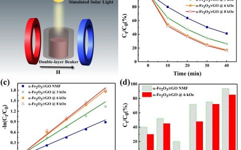 ACS Nano：磁场增强光催化性能研究
