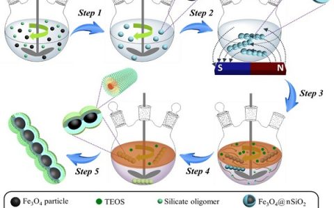 Advanced Materials：磁场诱导界面共组装策略合成磁性介孔二氧化硅纳米链