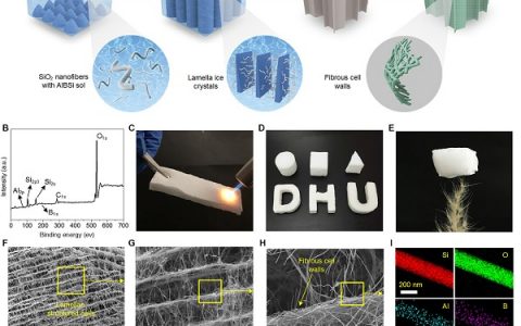 东华大学Science Advances： 超弹性陶瓷纳米气凝胶的研究