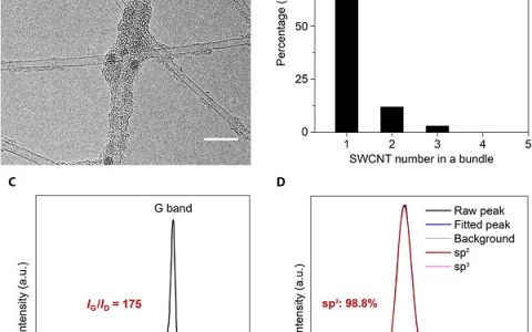 成会明院士&刘畅研究员Science Advances ：超高性能单壁碳纳米管透明导电膜