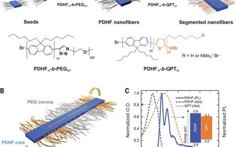 今日Science:突破激子扩散长度-200nmPDHF纤维