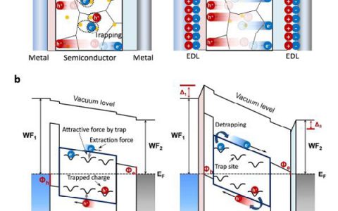 Energy Environ. Sci.: 克服钙钛矿电池陷阱缺陷的新思路—引入成对电偶极层