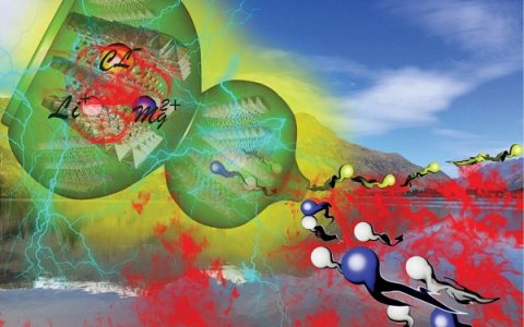 郑大邵国胜团队J Mater Chem A:氯化物插层MoS2研究镁锂氯三离子协同输运的高容量镁电池正极材料