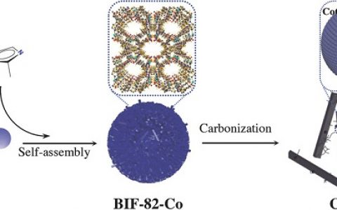 中科院福建物质结构研究所Adv. Funtc. Mater.：钴基硼咪唑金属骨架衍生的B/N共掺杂碳包裹钴纳米材料作为高效全水分解双功能电催化剂