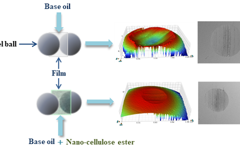 广西特聘专家黄祖强教授科研团队研发出纤维素酯基绿色润滑油添加剂