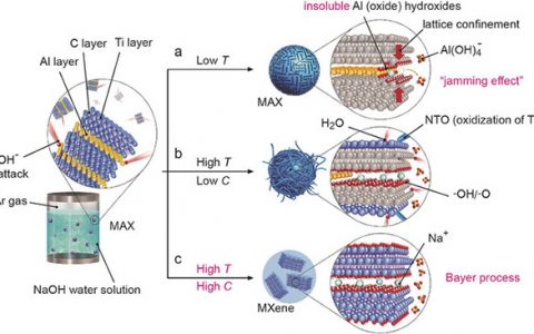 上交Angew. Chem. Int. Ed.:水热法碱刻蚀合成无氟高纯Mxene Ti3C2Tx(T= -OH, -O)