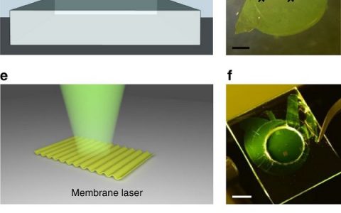 英国圣安德鲁斯大学Nature Communications: 柔性、超轻聚合物膜半导体激光器
