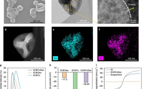 中国医科大学Nature Nanotechnology: 基于岩藻多糖的磁性纳米粒子和免疫调节剂的结合增强肿瘤定位免疫疗法