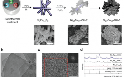 华中科技大学AM：镍铁硫化物衍生的NiFe羟基氧化物作为高效的氧析出催化剂