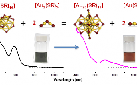 新加坡国立大学谢建平Nat. Commun.：在原子层面上揭示金属纳米团簇的生长机理