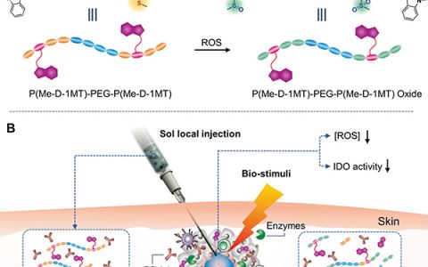 Adv. Mater.：可注射生物响应性凝胶库用于增强免疫检查点阻断