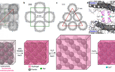 这个小组时隔两年Nature再获突破：水凝胶使硬硬的结晶材料产生自修复行为