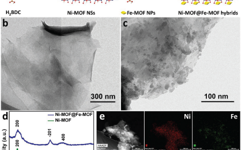 Adv. Funct. Mater：用于增强水氧化催化的2D双金属-有机框架