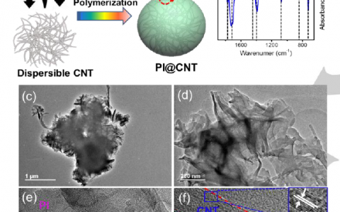 Angew：用于超快锂和多价金属电池的通用有机正极