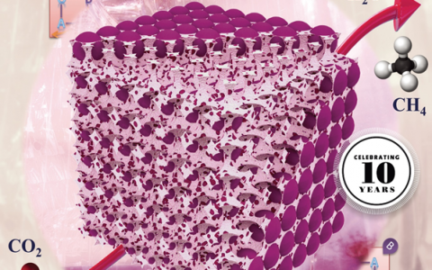 悉大Hamid Arandiyan & 北工大戴洪兴ACS Appl. Mater. Interfaces:Rh-Ni合金催化剂的晶格出溶制备