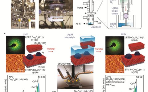 埃尔朗根-纽伦堡大学Nat. Mater.：理解液体电解质中电催化反应的模型
