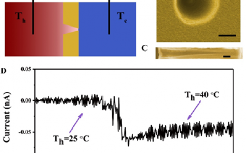 中科院理化所AEM：新型仿生热电转换体系——通过离子流定向通过锥形纳米通道阵列收集低品位热能