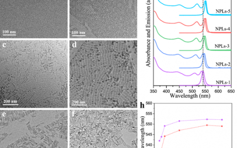 魏茨曼科学研究院Adv. Funct. Mater.：手性二维胶体半导体量子阱