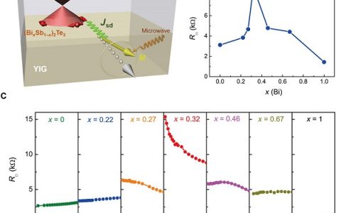 Sci. Adv.：狄拉克表面状态调制自旋动力学在室温下的亚铁磁绝缘体