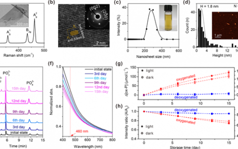 中科大季恒星、武晓君JACS: 片状二维黑磷在水中的化学降解及稳定性