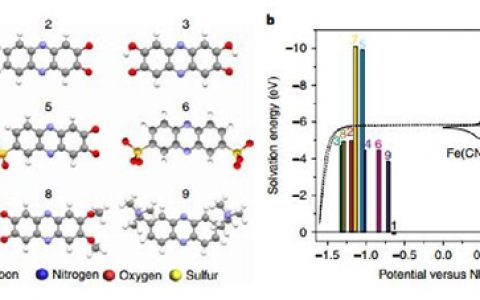 太平洋西北国家实验室Nat. Energy：仿生高容量吩嗪基负极电极液的水性有机氧化还原液流电池性能