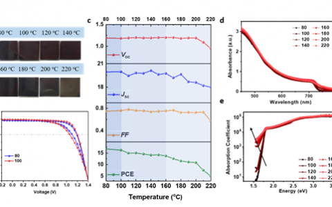 香港中文大学许建斌&香港理工大学李刚 AM:有机阳离子与卤素阴离子的协同效应对钙钛矿本征稳定性和光电性质的影响