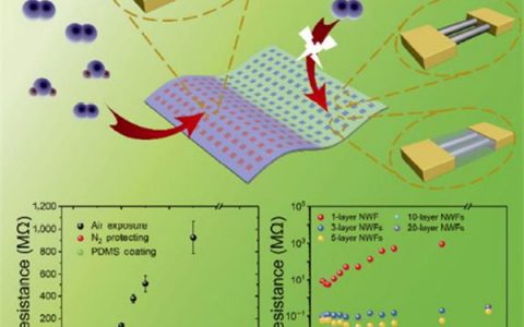 Nano Research（纳米研究）“纳米研究奖”专刊