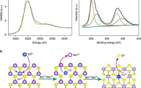Nature子刊: 自发原子钯界面掺杂化学活化二硫化钼实现高效析氢