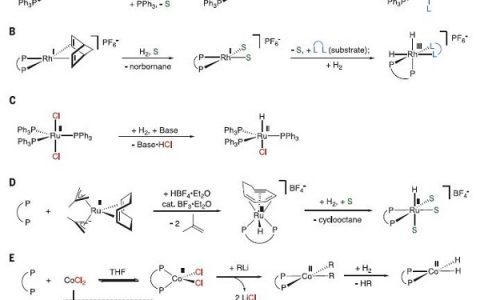 Science: 单电子还原钴催化烯胺不对称氢化反应