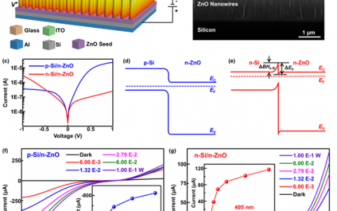 西安交大Adv. Funct. Mater.：异型和同型异质结光电二极管中的压电光电子学效应