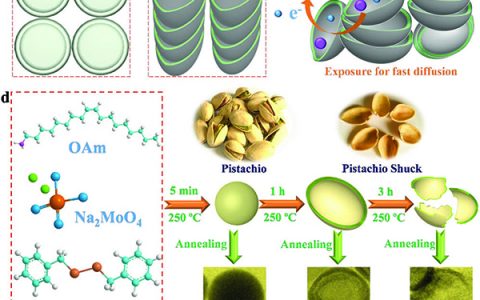 Adv. Mater: 用于高性能钾离子储存的类开心果壳状的MoSe2/C核/壳纳米结构