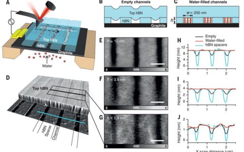 Science又发表范德瓦尔斯研究的最新应用:新突破——测量界面水的介电常数