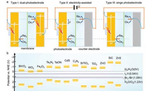 Adv. Mater.：高效的光催化剂驱动可逆氧化还原反应的太阳能收集和存储