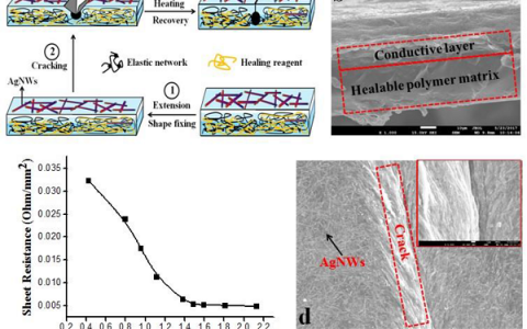 Applied Sciences-Basel:可拉伸电极的形状记忆增强电学自修复