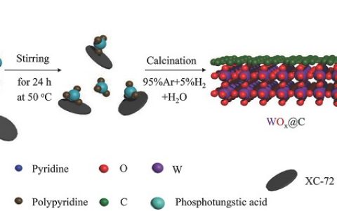 广西大学&吉林大学&中国矿业大学Adv. Mater.: 碳包覆WOx高效析氢催化剂