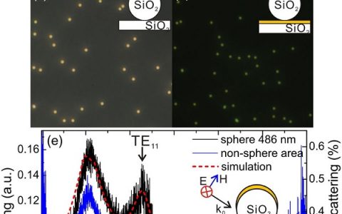 Phy. Rev. Lett.：可视化低指数介电纳米颗粒中的Mie共振