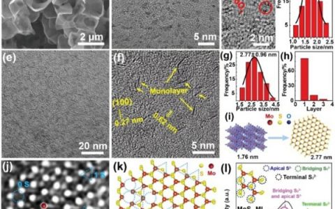 Adv. Energy Mater.： 通过限域效应将MoO3点对点转化为垂直排列的超小单层MoS2用于高效HER