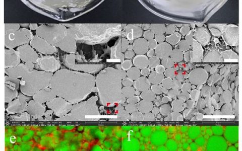 Angew. Chem. Int. Ed.：花生蛋白质微凝胶颗粒稳定的高内相皮克林乳液及其多种潜在应用