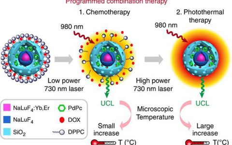 复旦大学Nat. Commun.:上转换纳米复合材料通过精确控制微观温度来编程组合癌症治疗