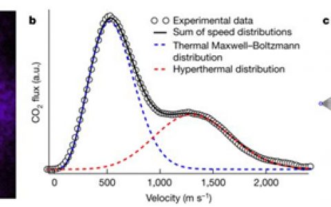 普朗克生物物理化学研究所Nature：铂表面活性位点处CO氧化速度的动力学特征