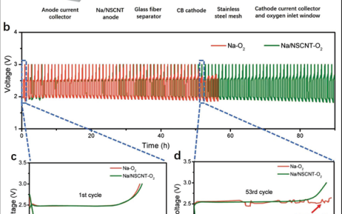 Adv. Mater: 用于高能量钠金属电池的无枝晶钠金属阳极