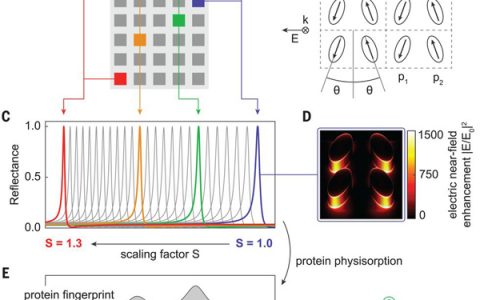 Science头条:用于分子检测的超表面技术