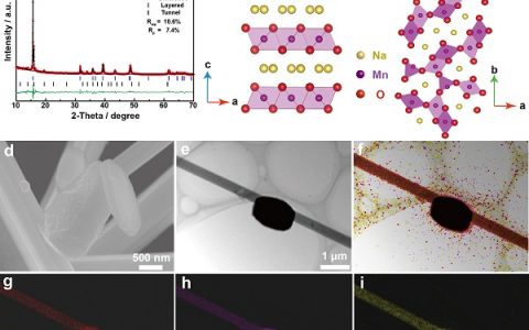 中科院化学所&四川大学Advanced Energy Materials：一种层状−隧道共生结构的高性能钠离子电池正极材料